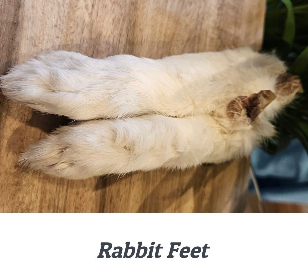 rabbit feet rabbit feet